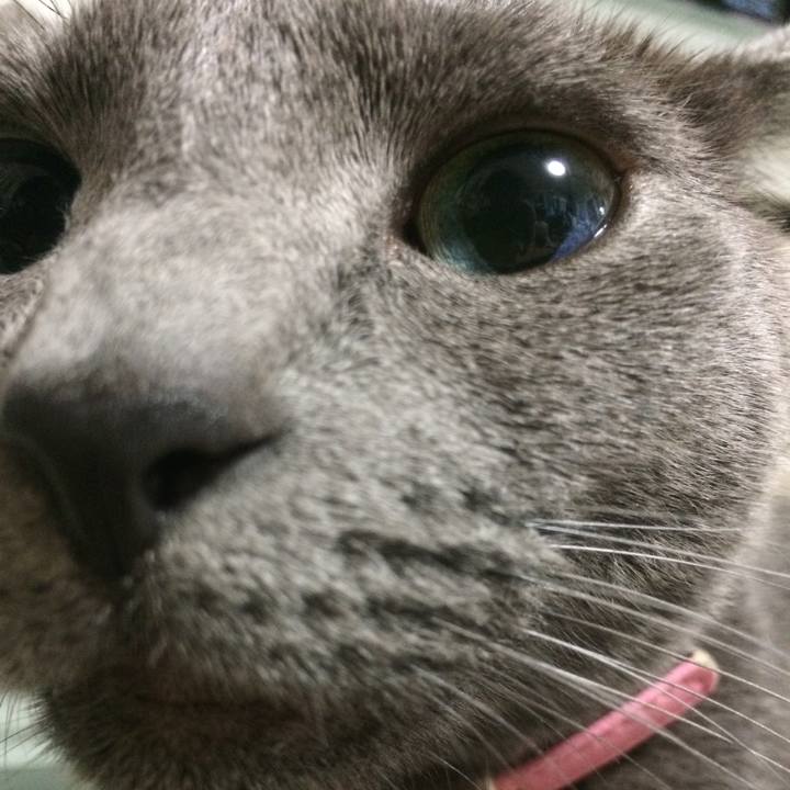 Eff40c3c d7c3 4df7 b0f3 1d535c5b100e