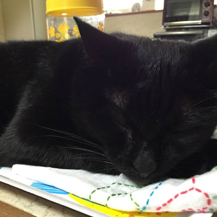 Eff4db19 cea8 4ad7 aed2 9e22d725c718