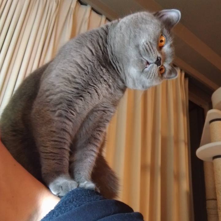 Eff54a4a 6862 4ad0 9eea 0764b1fa4092