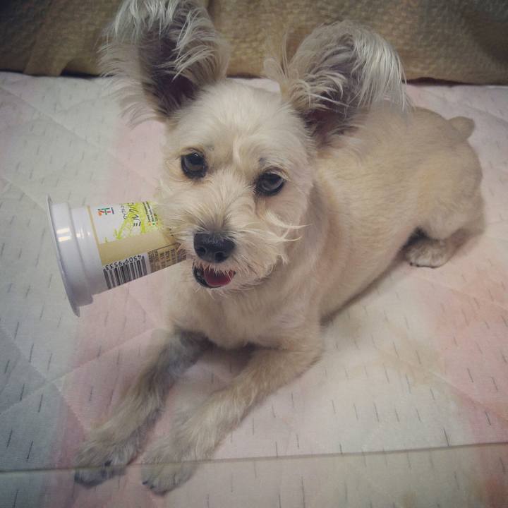 Eff5e66c c222 4bfb b104 5e5162577fd1