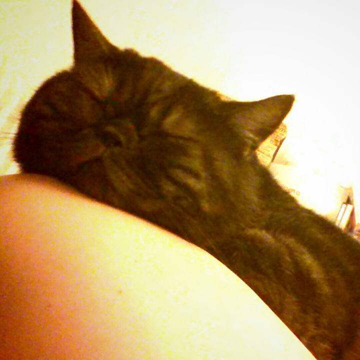 Eff60d91 de9b 4cb1 9a4a 09cfc22263eb