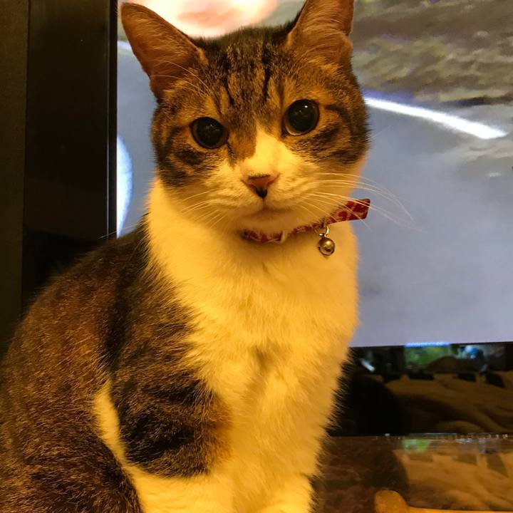 Eff623e8 255f 4d8e bd9e dd584aaa0745