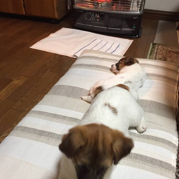 Eff6459e b7a3 470f ac6b 833a998505c8