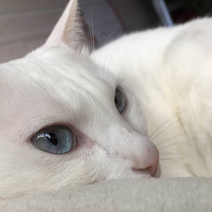 Eff6ec9a 882a 4481 872e c80648df052d