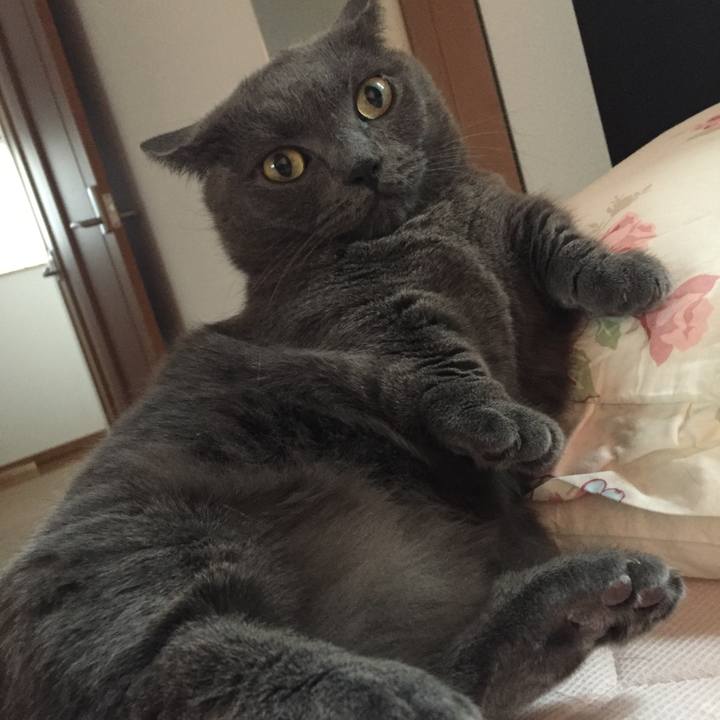 Eff701f5 37b0 4204 af75 546f7ed8e453