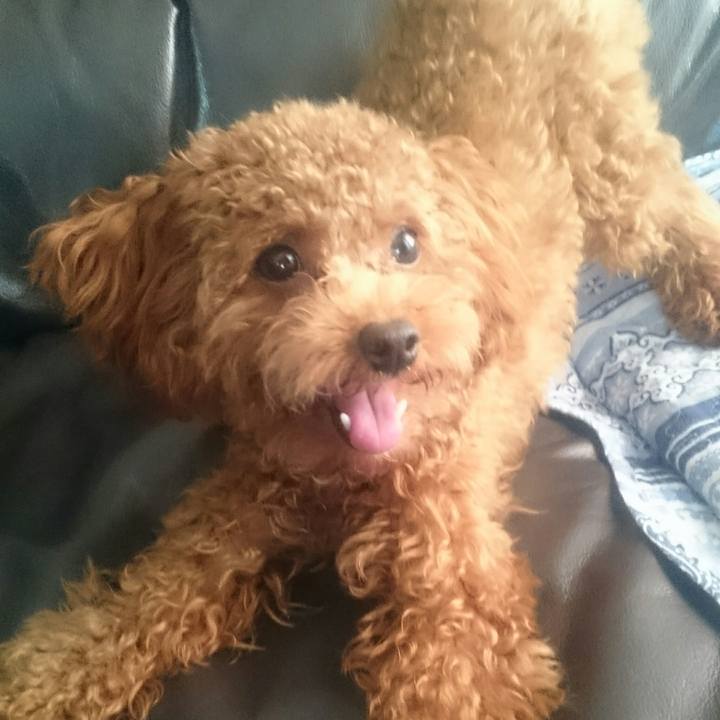 Eff736c0 b763 4c9c 972c 10ff1c1cc647