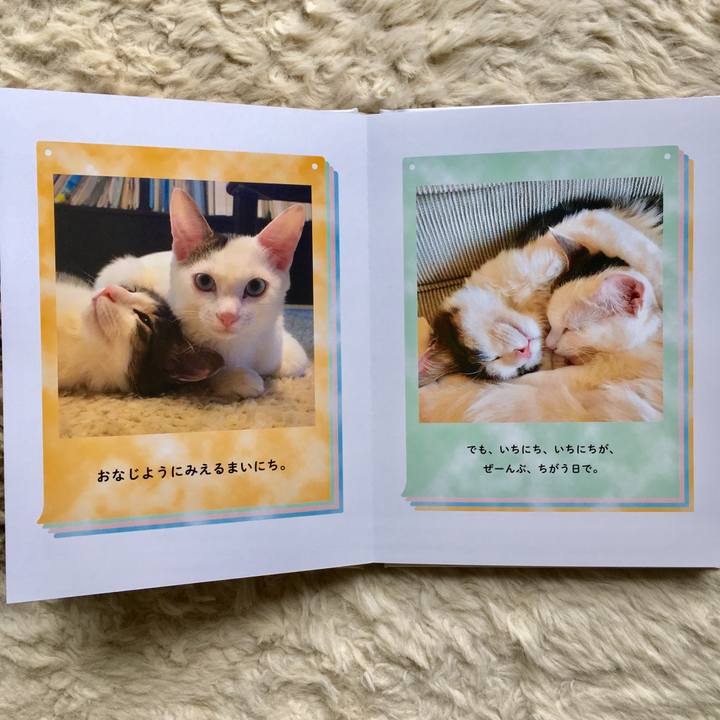 Eff755c5 ee42 407b 8dfe 48aa90371bb5