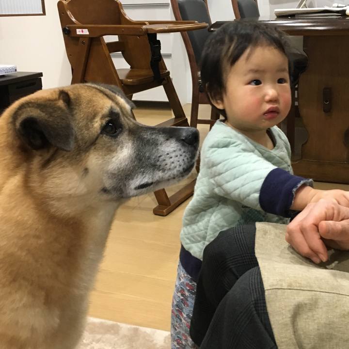 Eff787ae 08df 4d3f 9051 76b6615063b6