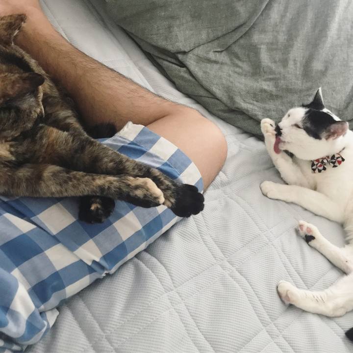 Eff9000f 41fc 4464 952c 89af320f6d16