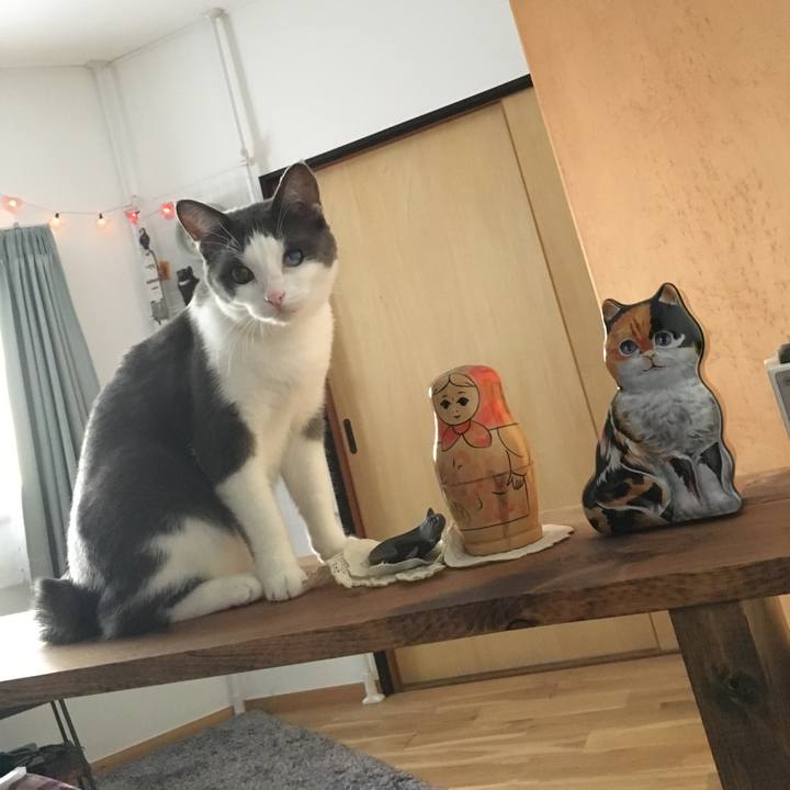 Eff90bb9 1cb2 4d74 a2ea 78548492e5ca