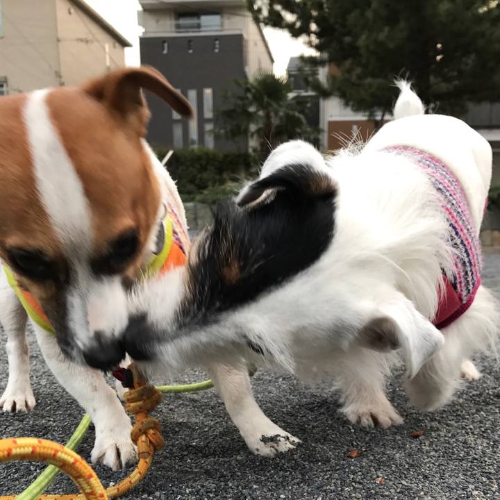 Eff94752 60a3 4ba1 8d9a 7ffb4d431140