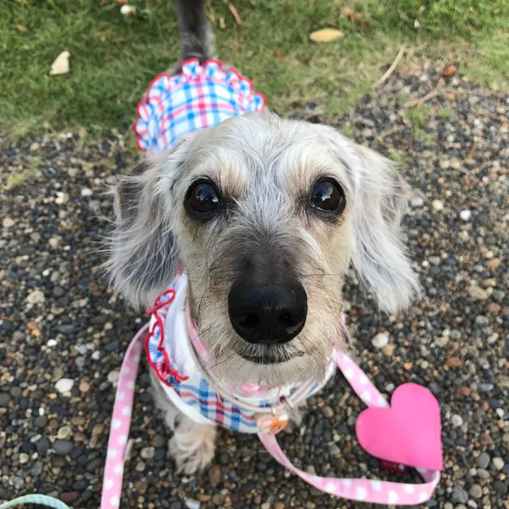 Eff948a4 456c 4987 8352 b0fbdcba60c4