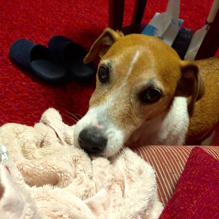 Effaa34b d3c0 44f8 8358 44e7f020d109