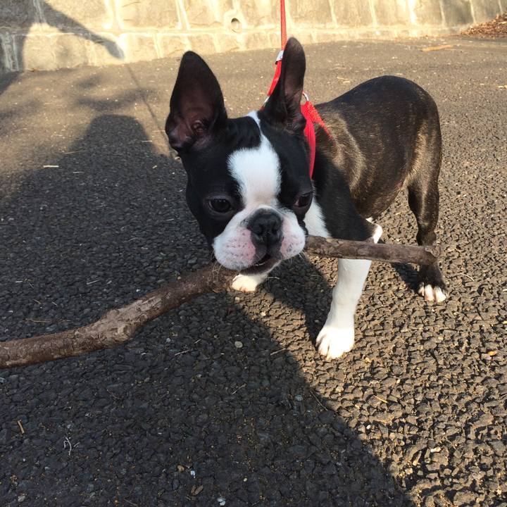 Effc1dae c337 4e8e 83d0 8ce06afb11fd