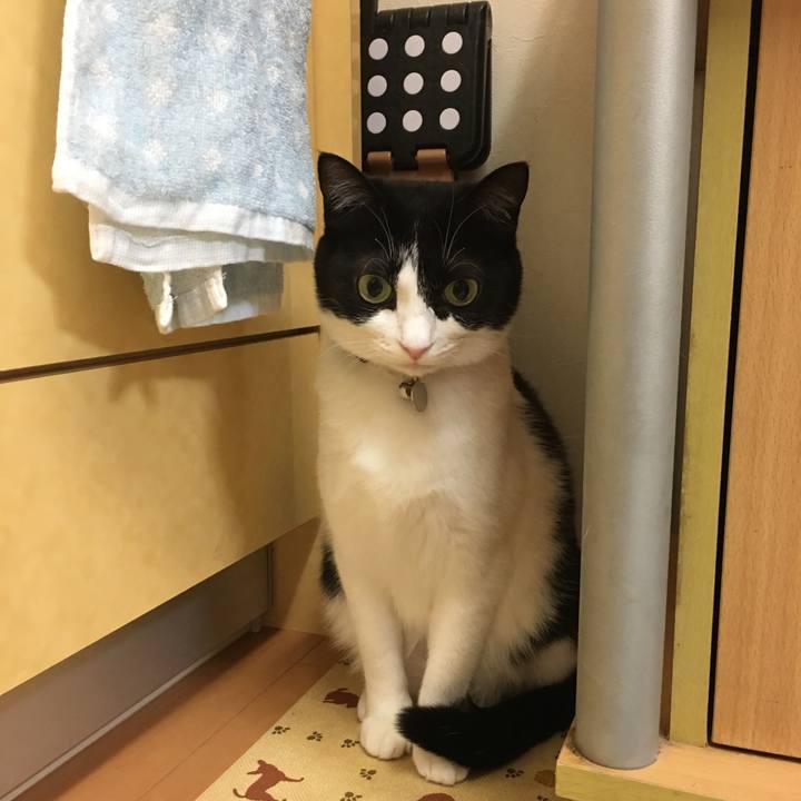 Effc36db b5fa 475c b61b 51f3f79799e9