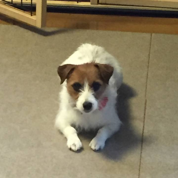 Effc7da1 517e 4057 8562 b81d7442dacc