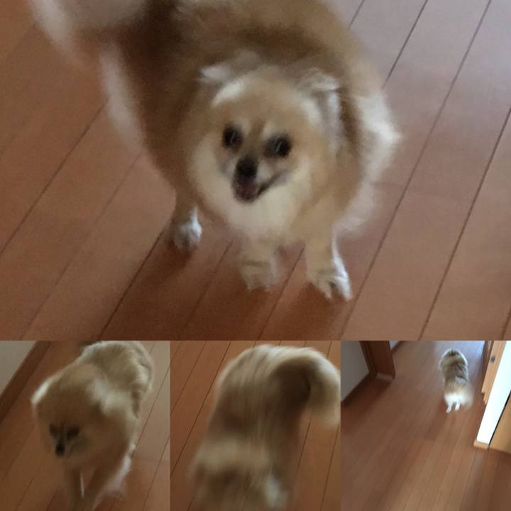 Effce3cb e402 4bb2 8cda 6a8a09dbdc2b