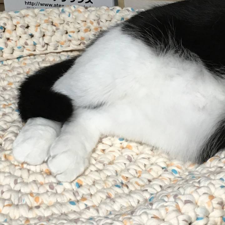 Effce5d0 071f 4547 aacf e1f818c31eb6