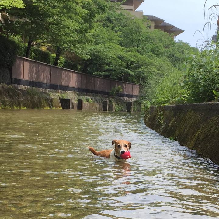 Effd87f4 e5cf 4c59 85c7 c3009d1b4238