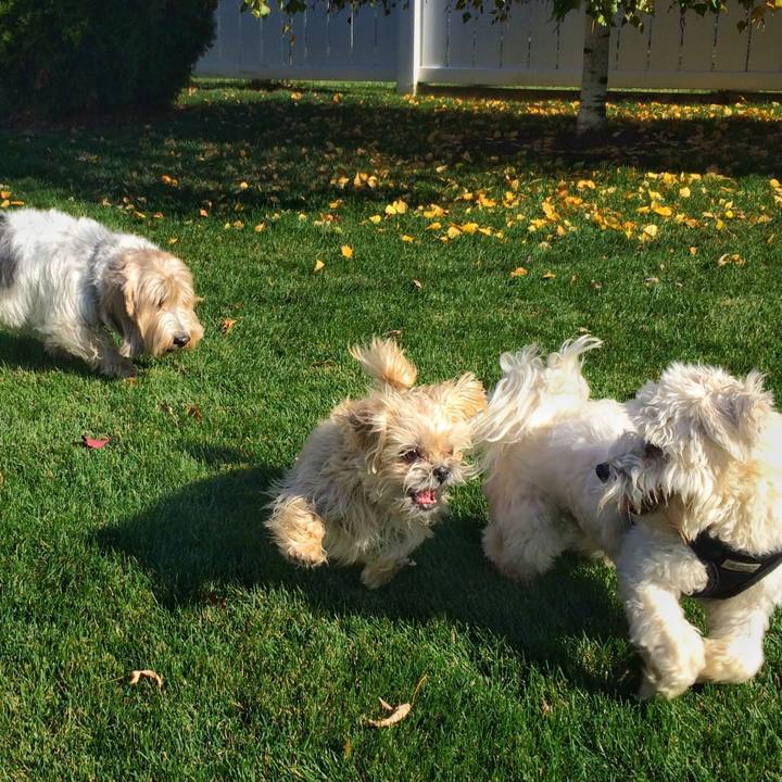 Effdb555 d288 440d b156 a0bccd8b1d06