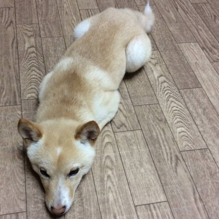 Effe54ac a2b9 4214 b293 86b1bfa23684