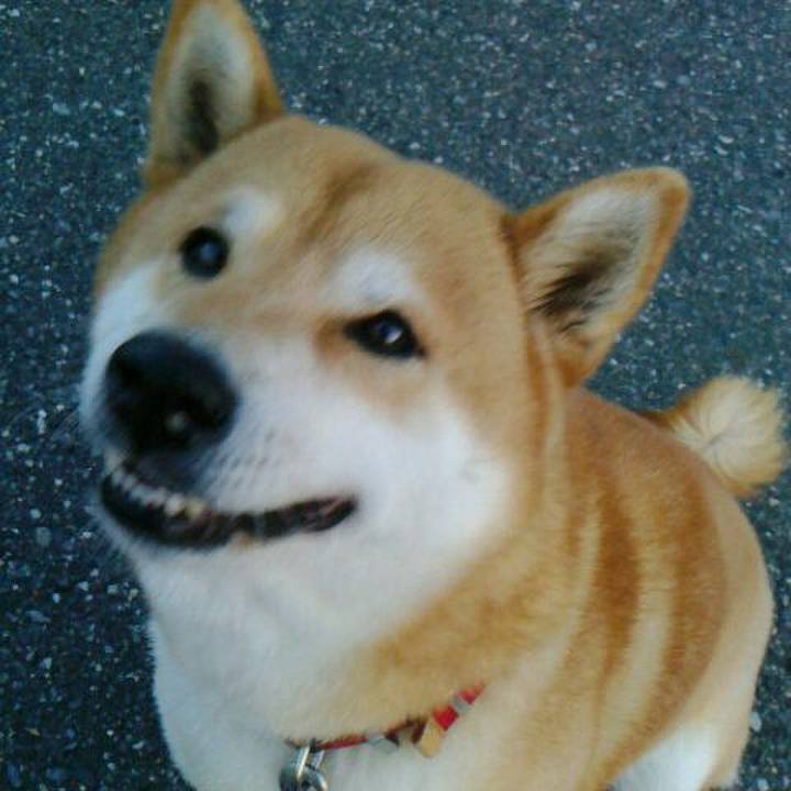 Efff6add 9add 466b 899e 8f17c7accf5f