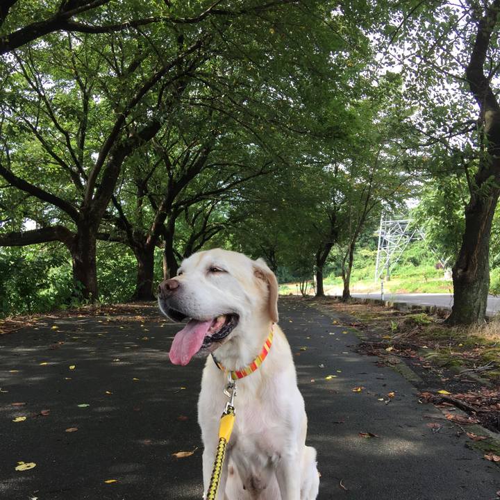 Efff7cd1 a548 49a9 809a f13730d2260f