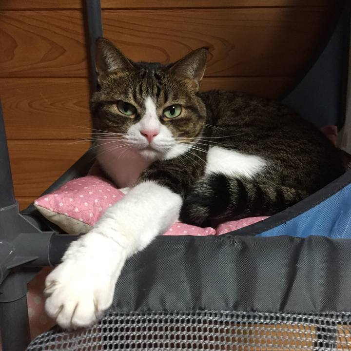 Efffd9b4 c012 4220 a105 2e6a9d0dc696