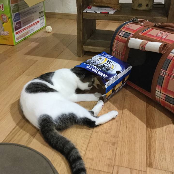 F000bed9 f1c7 4595 818b 726c45c517f1