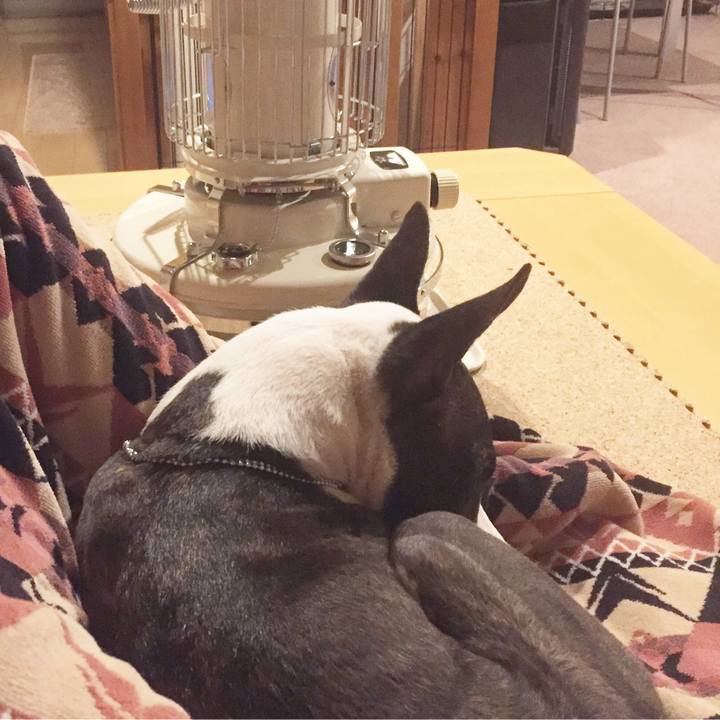 F0018072 2036 4b08 916a 3b139b4425d1