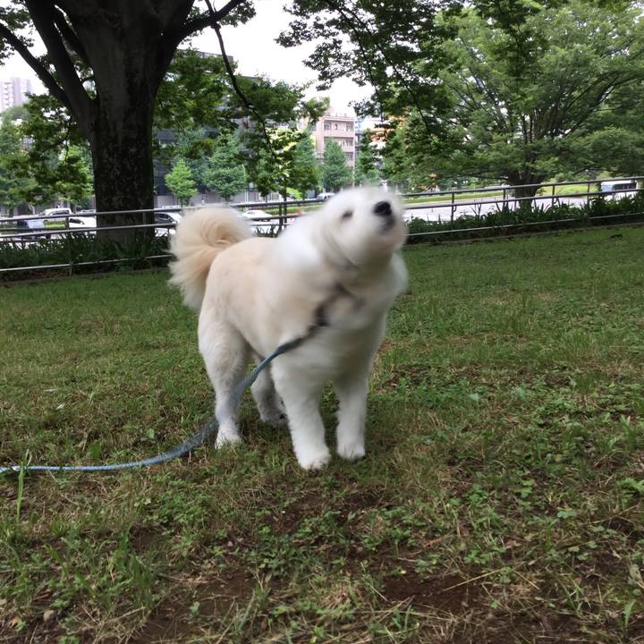 F00221d0 9d86 4abc 921e c639814a13b4