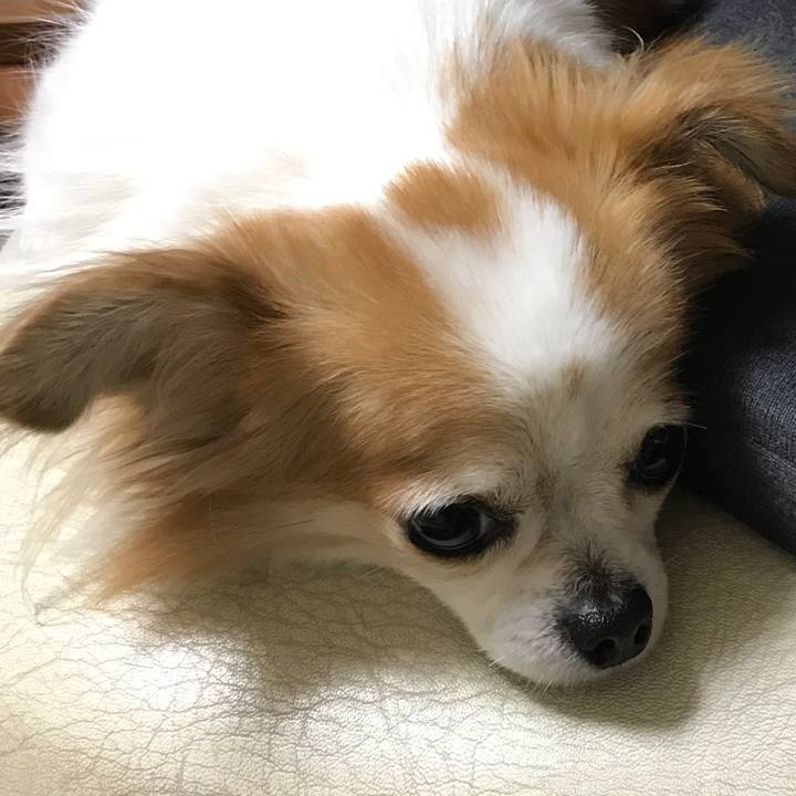 F002c969 f921 42d7 9a89 973077f5aee4