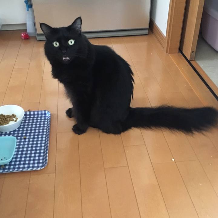 F0038265 21ac 4119 8e88 f32481cedcb2