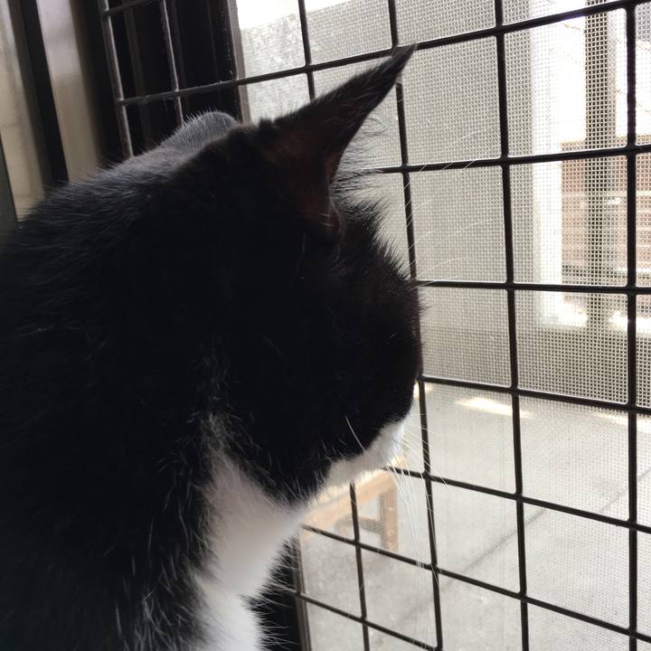 F003987f 40d2 4fbf 8f2a 594b0c99fa19