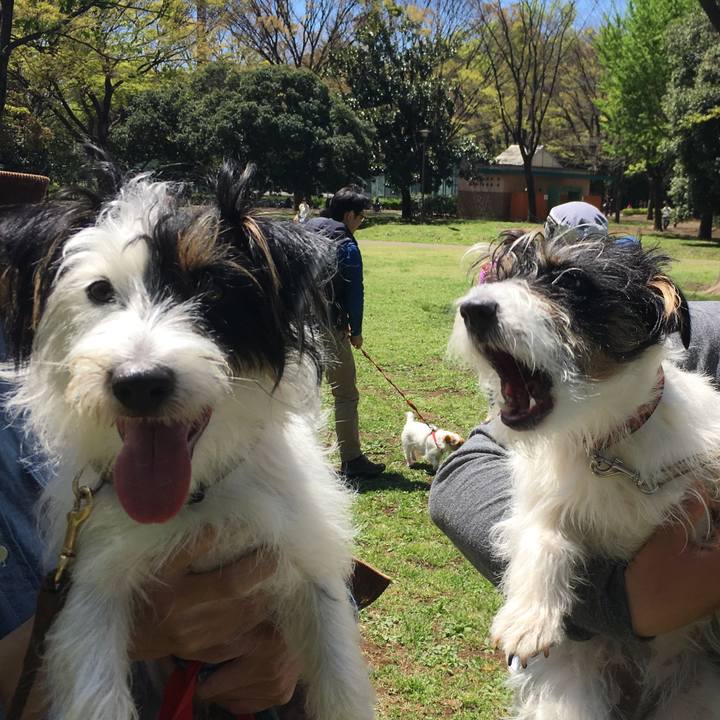 F003e446 dfd3 454c b246 0cf36e3175de