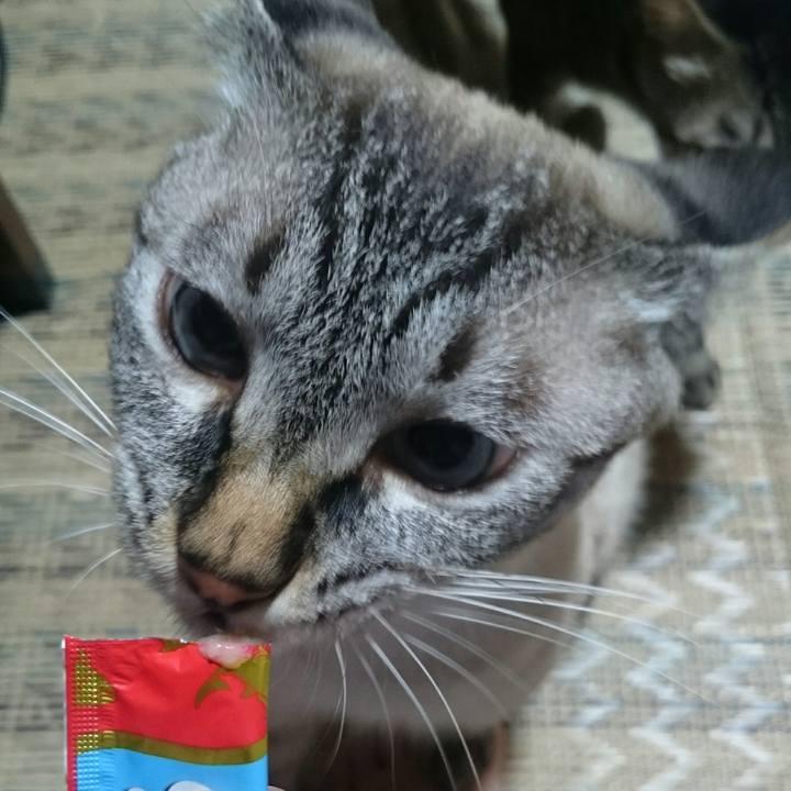 F0049e24 8144 4e90 b5e3 c6664e8cb7a6