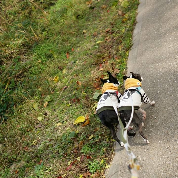 F004b13d 83a5 45ee 93a0 3576fa8a27e3