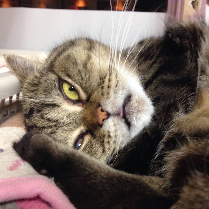 F004cd77 748d 4e2c 80ac 0005f513b6ab