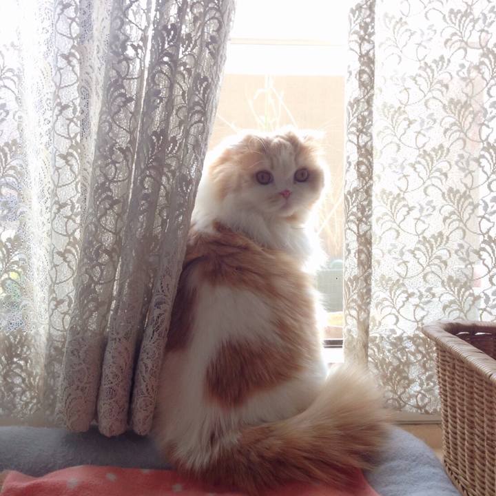 F0054753 2e2f 4717 931a da3074c8586d