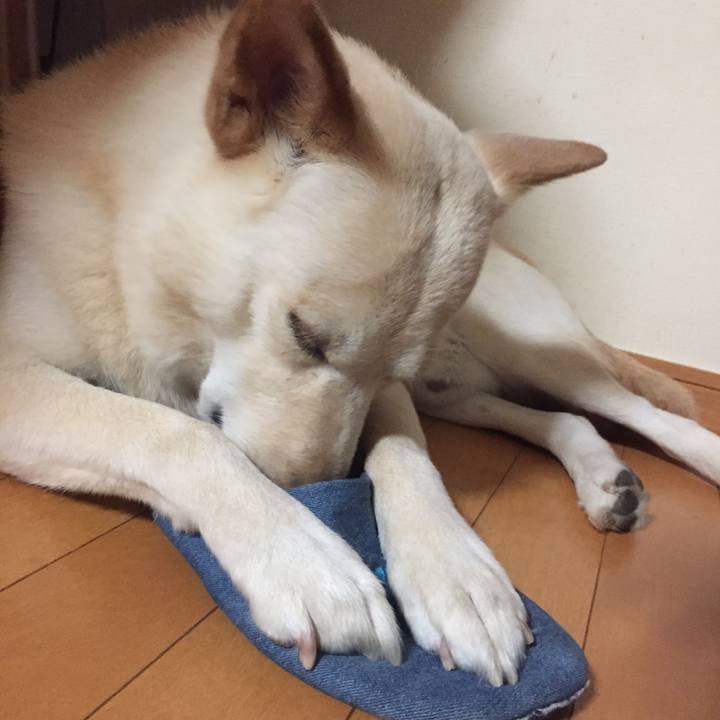 F00617d9 d7a6 4814 a651 e266a8fde6ac