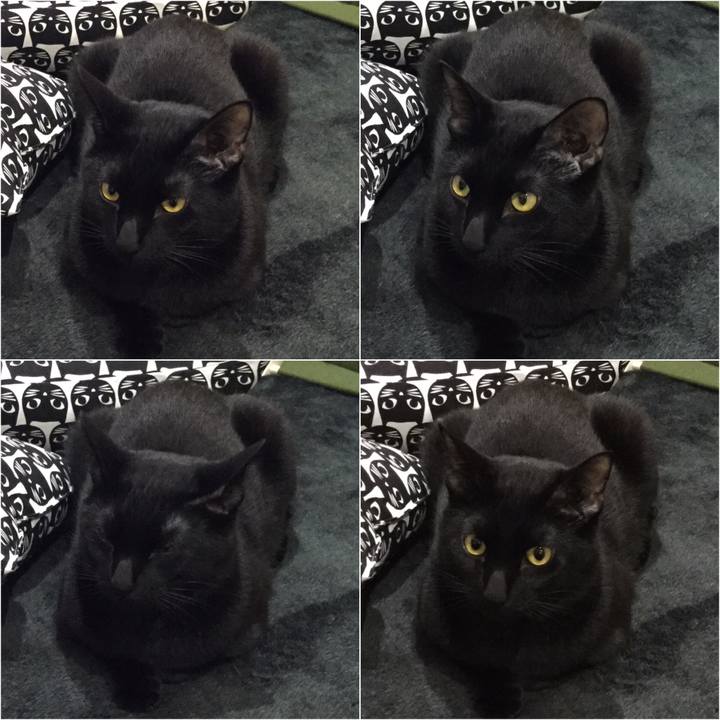 F0068d58 1917 42b0 ab2b f543f318b34b