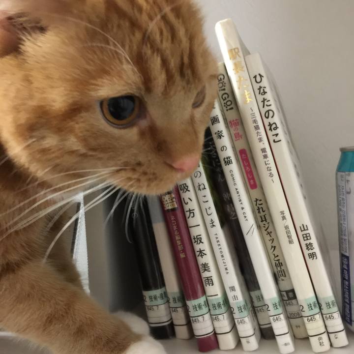 F0072f56 c4d1 43bc ac75 540bfaa2e80d