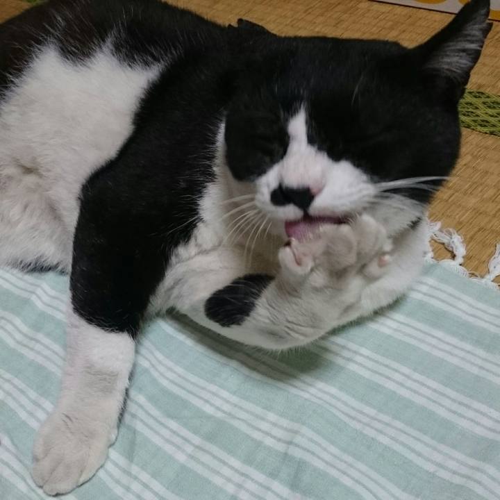 F0073310 ea6d 42d3 9aff 62c41c1082d9