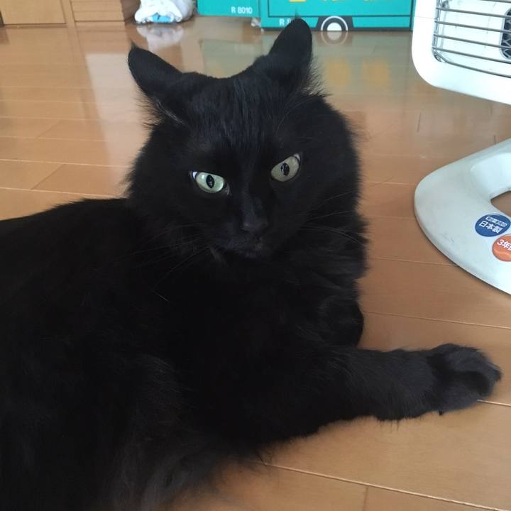 F007f63c 6355 4996 b979 68b1da643500