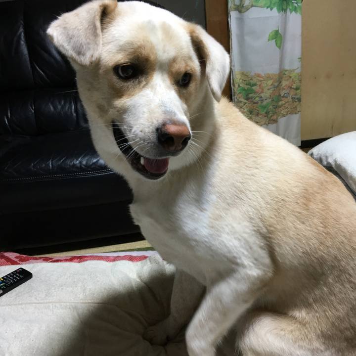 F0086811 903e 42e5 8de6 071a5452205a