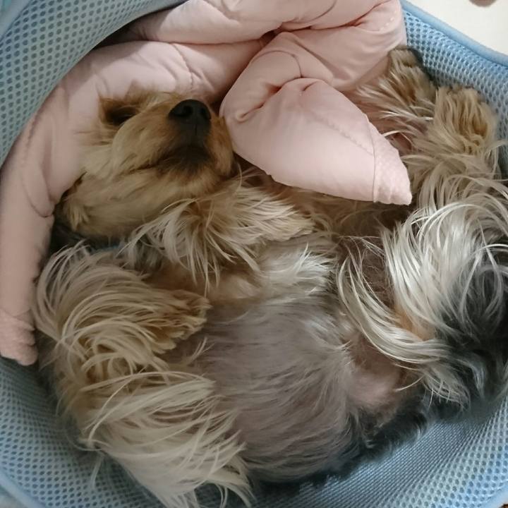 F008b912 f105 4de9 8eb6 6026f9491923