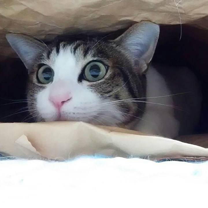 F008da5a a970 4285 8636 f01148cfb3c5