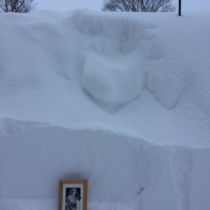 F008f632 c0ca 4657 8556 69218d371d6e