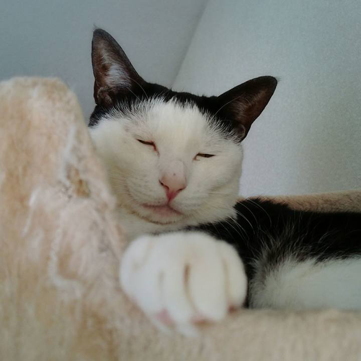 F009da3a 691d 432f 9a46 f43808803da5