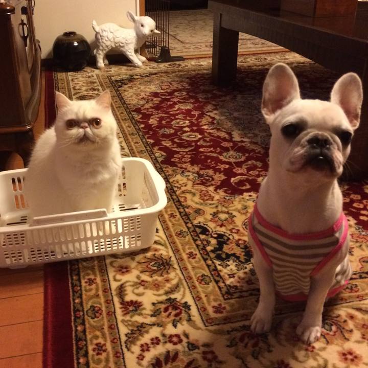 F00a1628 8298 4470 bc95 644f2415aa2e